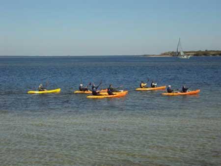 Kayak tour