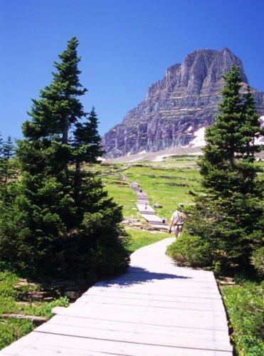 Hidden Lake Trail, Glacier National Park. Kurt Repanshek photo