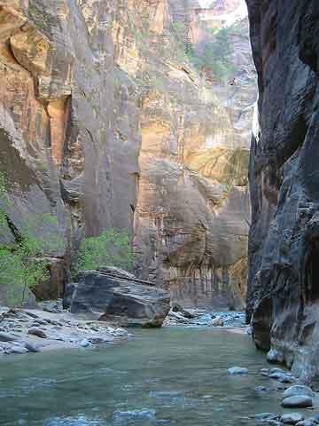 The Narrows in Zion N.P.