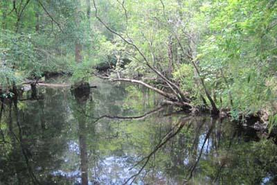 Moores Creek