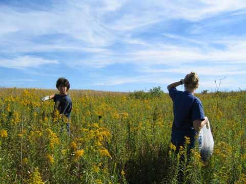 Volunteers on prairie restoration project.
