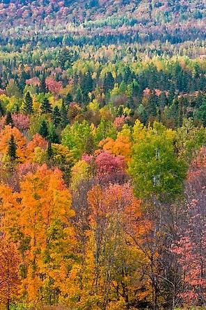 Is The Time Right For A Maine Woods National Park National Parks Traveler