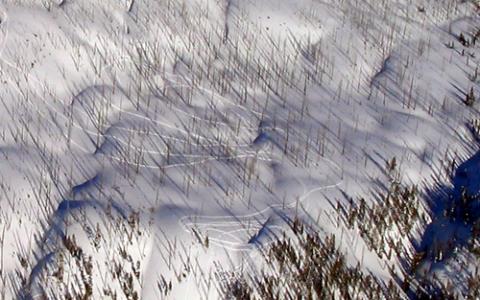 Snowmoble trespass. Bob Peterson photo.