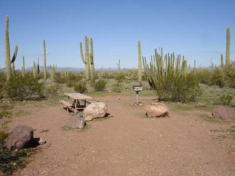 Campsite at Organ Pipe Cactus Nat. Mon.