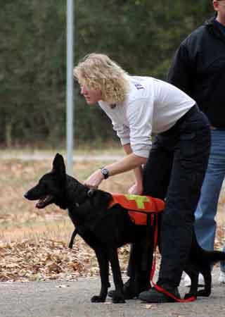 Search dog and handler.