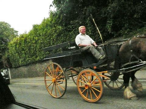 Jaunting Cart in Ireland.