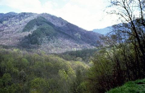 Great Smoky Mtns. NP
