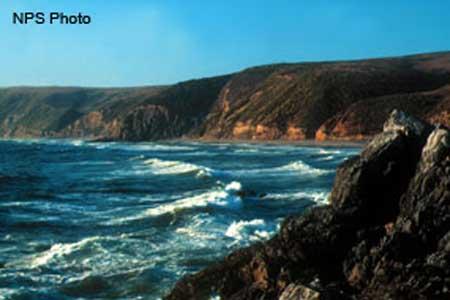 McClures Beach area