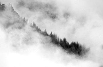 Mount Rainier Mist; mbollino photo via Flickr;