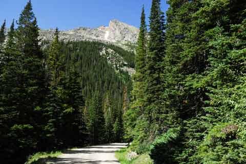 Fall River Road in Rocky Mtn. National Park.