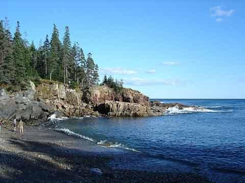 Acadia NP scene.