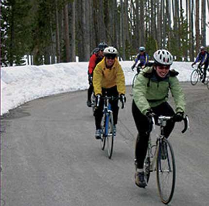 Spring cyclists in Yellowstone.