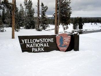 Yellowstone National Park; 'oh_candy' photo via Flickr.