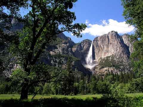 Yosemite Falls.