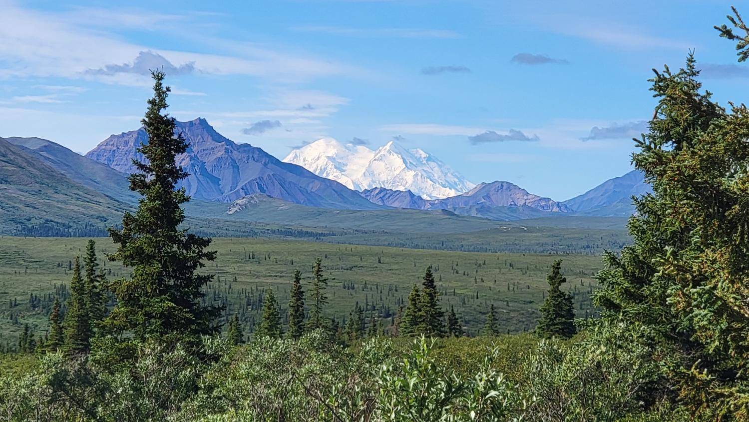 Mount Denali seen from the park road