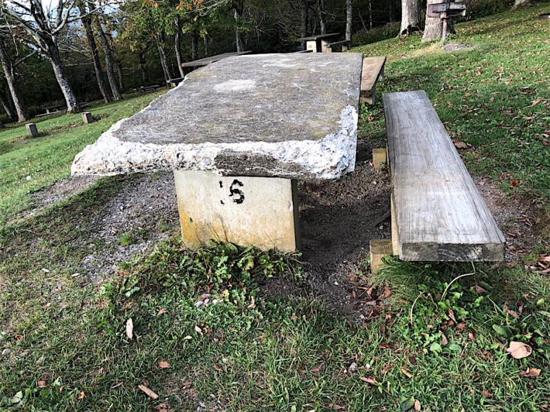 There are many spots along the Blue Ridge Parkway, such as the picnic grounds at Craggy Gardens, where repairs are needed/Blue Ridge Parkway Foundation
