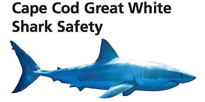 Great White Shark safety poster/NPS