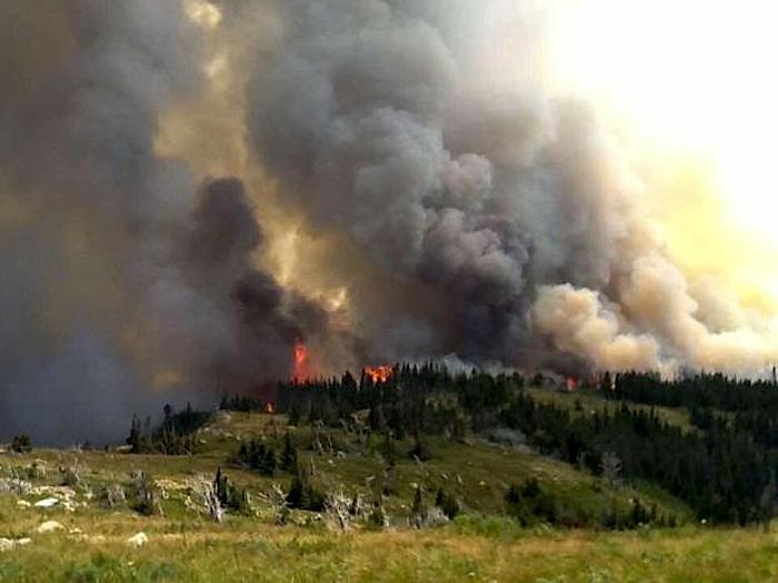 Reynolds Creek Fire at Glacier National Park/NPS