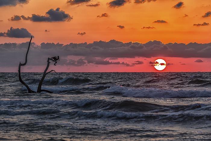 Padre Island National Seashore/Rebecca Latson