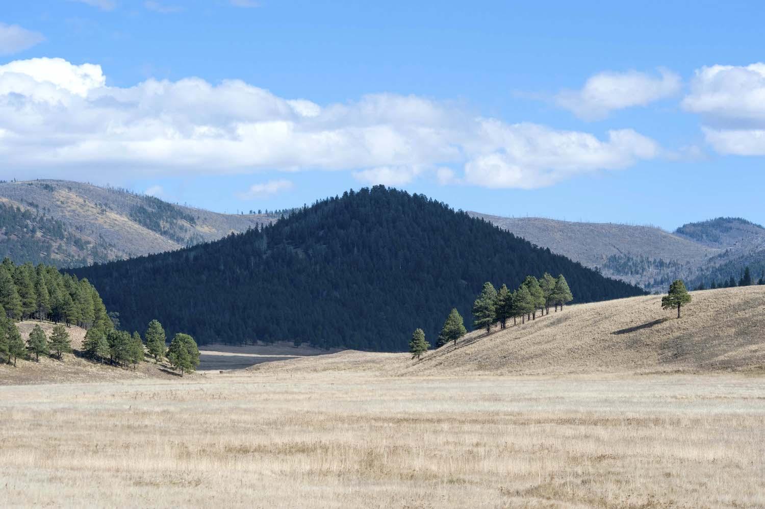 Valles Caldera National Preserve/Patrick Cone