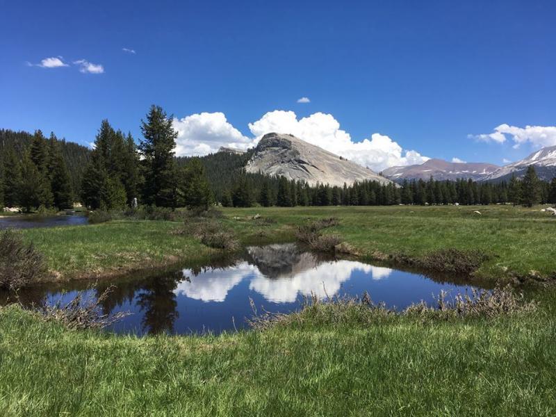 Yosemite National Park staff hope to begin a parking relocation project in 2020 to protect Tuolumne Meadows/NPS file