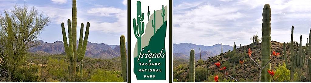 Friends of Saguaro