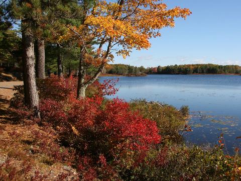 Fall colors at Acadia National Park/NPS