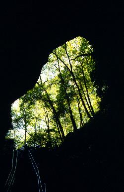 The entrance to the Historic tour cave at Mammoth Cave National Park/NPS
