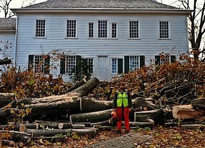 Downed trees at Washington's Headquarters in Morristown, New Jersey/NPS