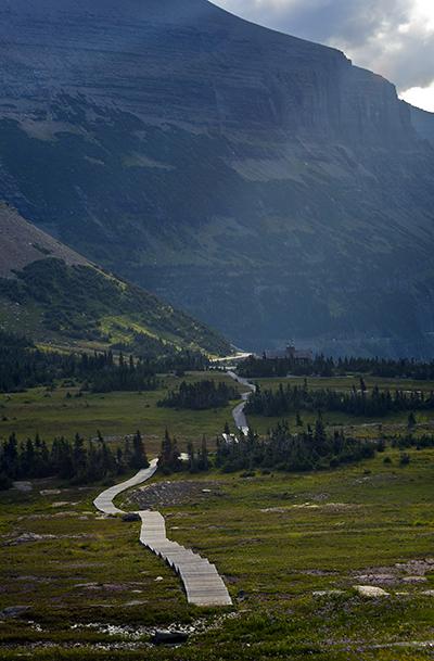 Morning Light At Logan Pass