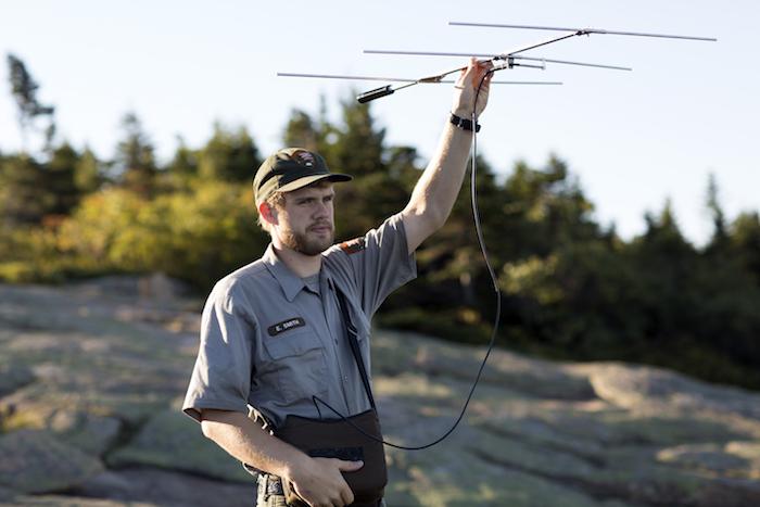 Biologist Erickson Smith uses a directional radio setup to track bats in Acadia National Park/FOA, Julia Walker Thomas Biologist Erickson Smith uses a directional radio setup to track bats in Acadia National Park/FOA, Julia Walker Thomas