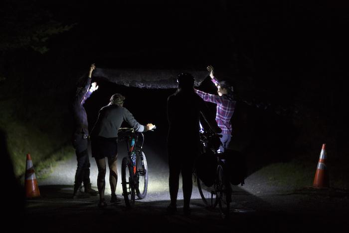 Volunteers help with a mist net setup to capture bats for research purposes on a carriage road in Acadia National Park/FOA, Julia Walker Thomas