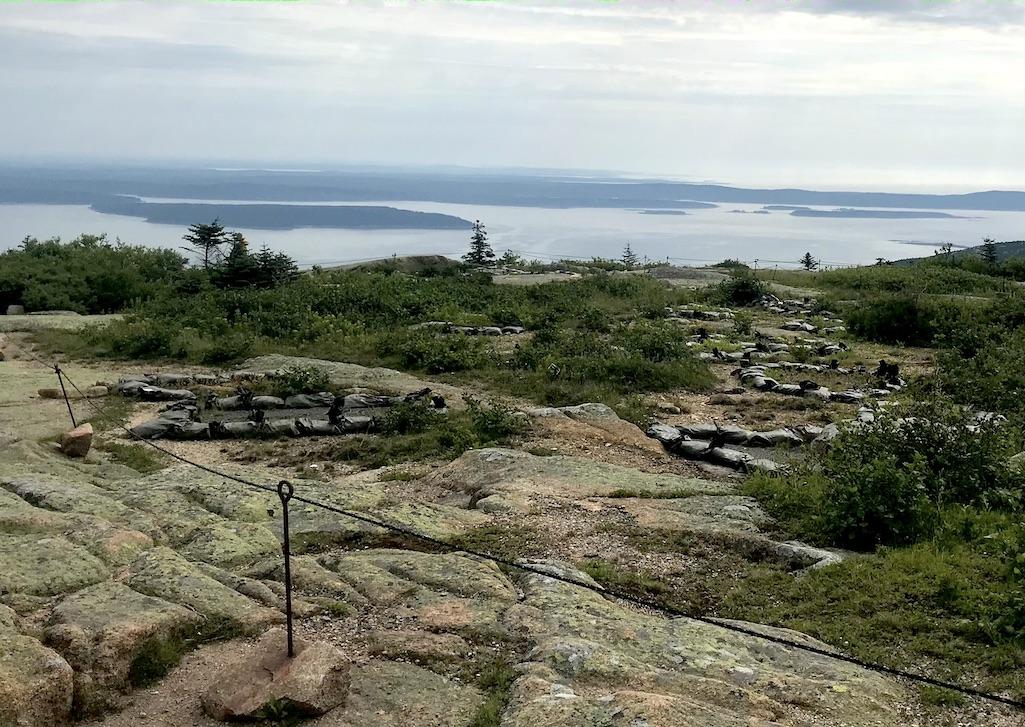 A long running project aims to restore vegetation that had been trampling atop Cadillac Mountain in Acadia National Park/Kurt Repanshek file A long running project aims to restore vegetation that had been trampling atop Cadillac Mountain in Acadia National Park/Kurt Repanshek file