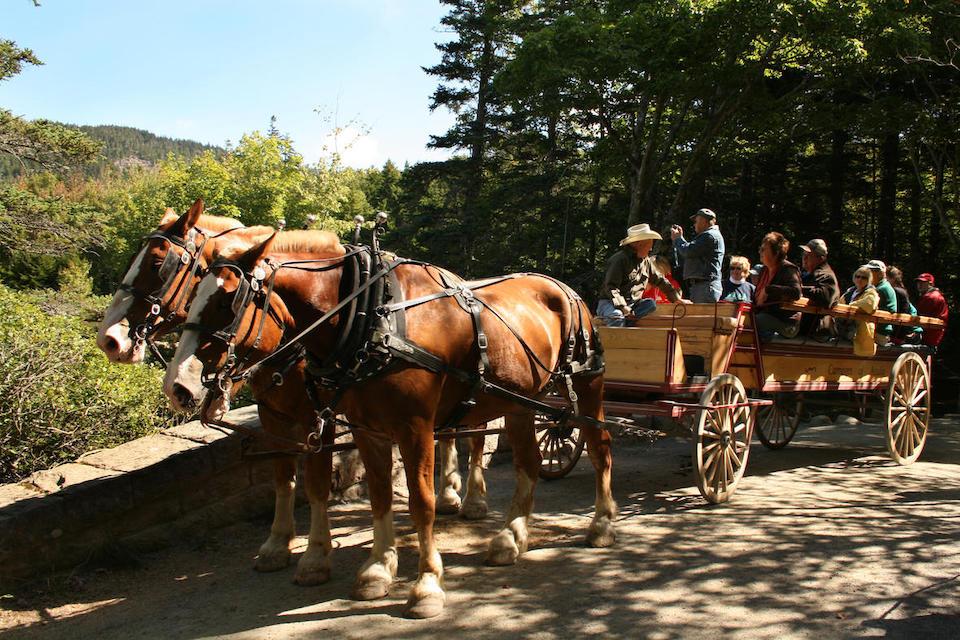 A crush of bikes -- both muscle-powered and eBikes -- have created conflicts with horse-drawn carriages in Acadia National Park/NPS file