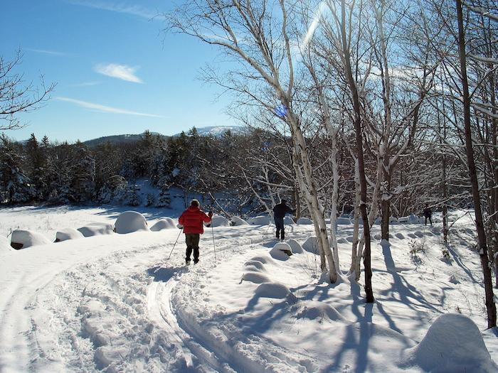 Winter storms can bring excellent cross-country skiing conditions to Acadia National Park/NPS
