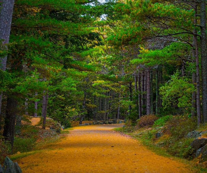 Acadia National Park's carriage roads turn golden in fall/Rebecca Latson