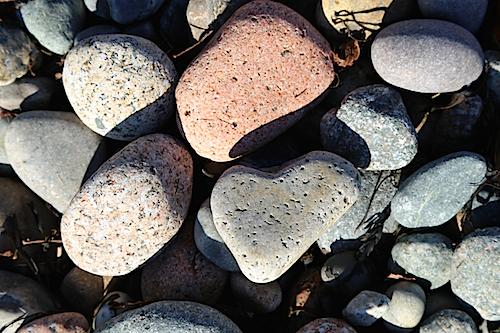Heart stone, Hunters Beach, Acadia National Park/FOA