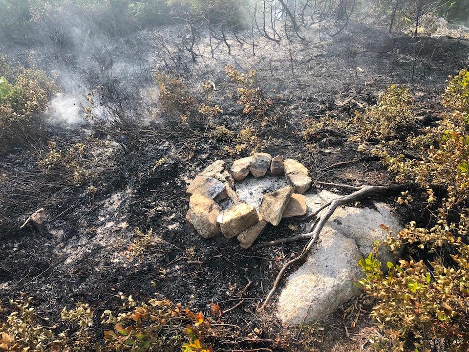 An illegal campfire at Acadia National Park's Schoodic Woods Campground burned about 750 square feet/NPS9 960