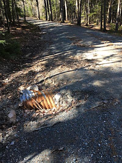 Lurvey Spring Road at Acadia National Park/NPS Lurvey Spring Road at Acadia National Park/NPS