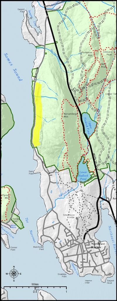 Hazardous tree removal work is scheduled for Acadia National Park/NPS