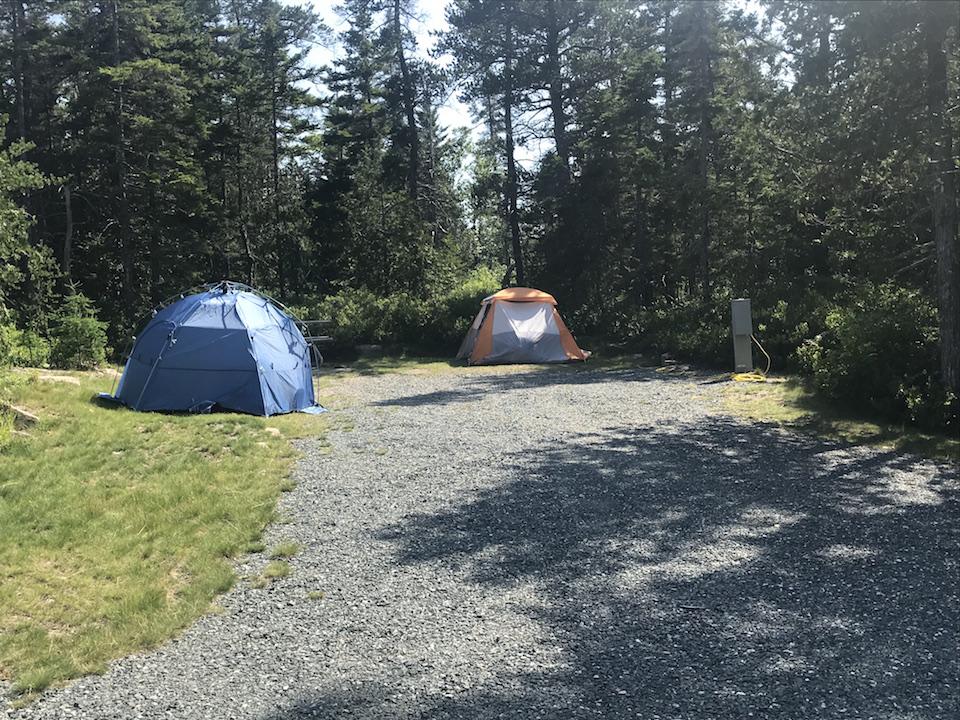 Many campsites at Schoodic Woods Campground are well shielded from others/Kurt Repanshek