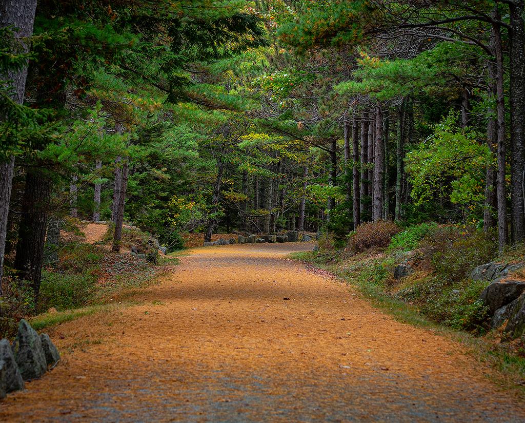 The carriage road beckons, Acadia National Park / Rebecca Latson