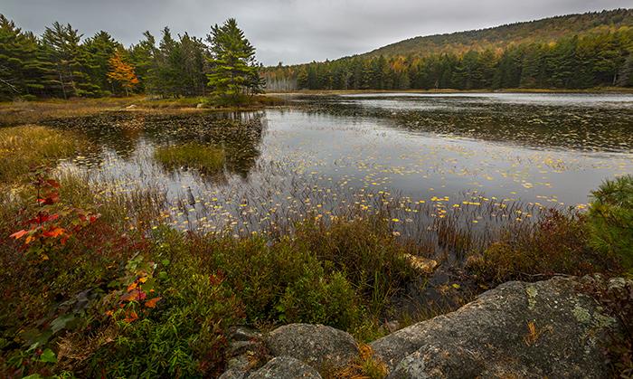 A moody autumn day, Acadia National Park / Rebecca Latson