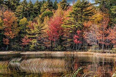 Marshes at Acadia National Park’s Eagle Lake. Credit: Dave Hensley, CC-BY-NC-ND 2.0