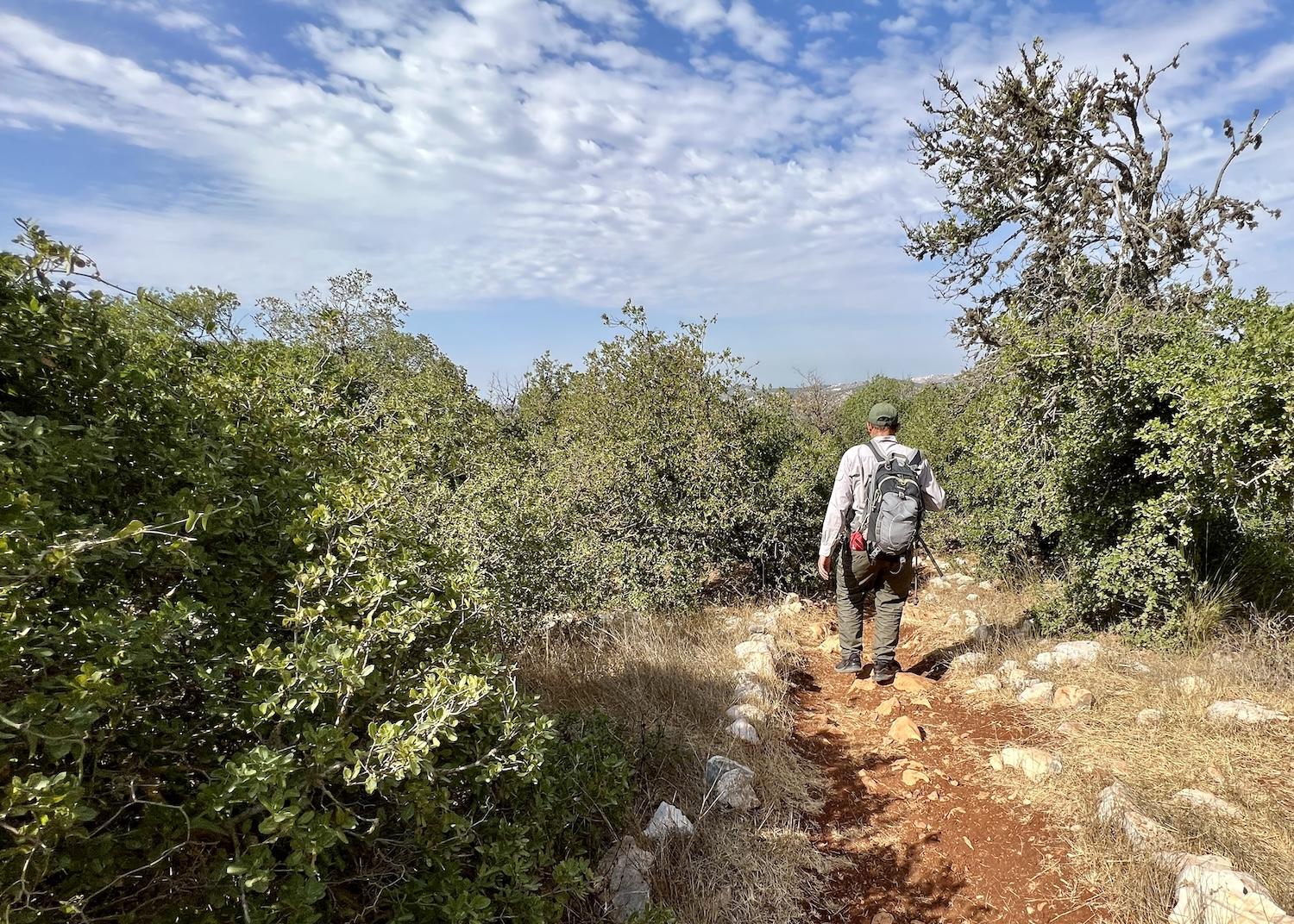 In a country dominated by desert, Jordan's Ajloun Forest Reserve stands out for protecting open woodlands.