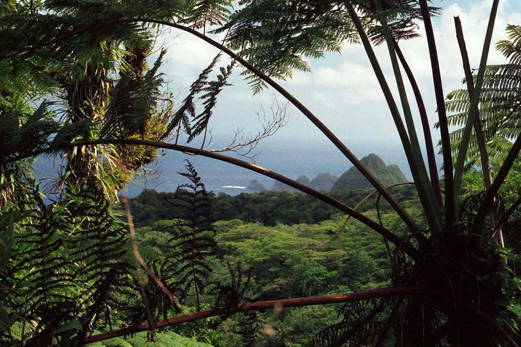 A view of Pola Islands from Tutuila Rain Forest, National Park of American Samoa / National Park Service