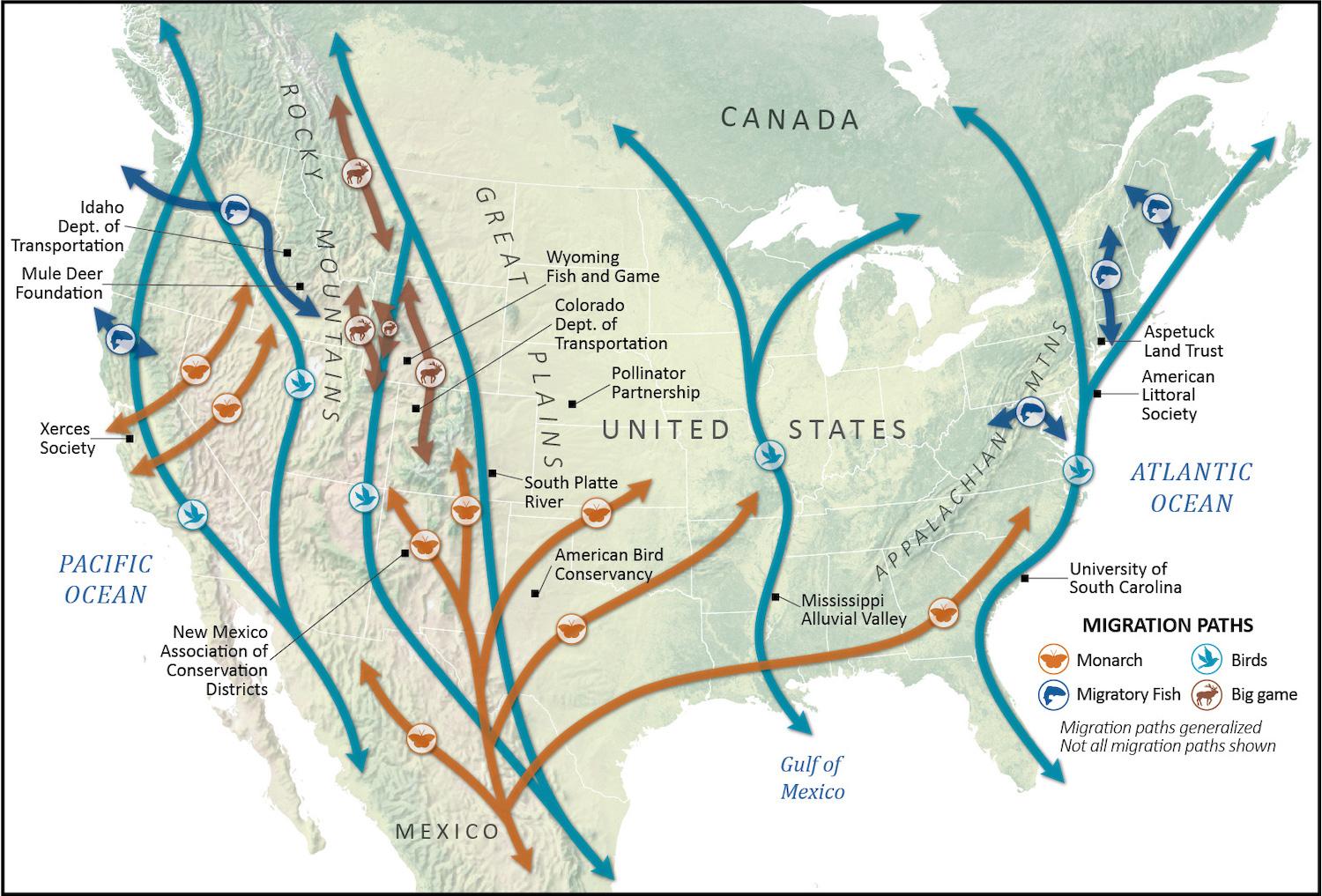 Migratory Corridors Are The Solution For Bottled Up Wildlife