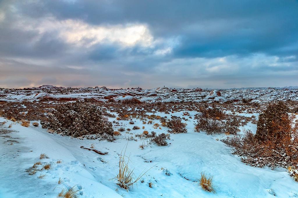 An early winter morning over lithified sand dunes, Arches National Park / Rebecca Latson
