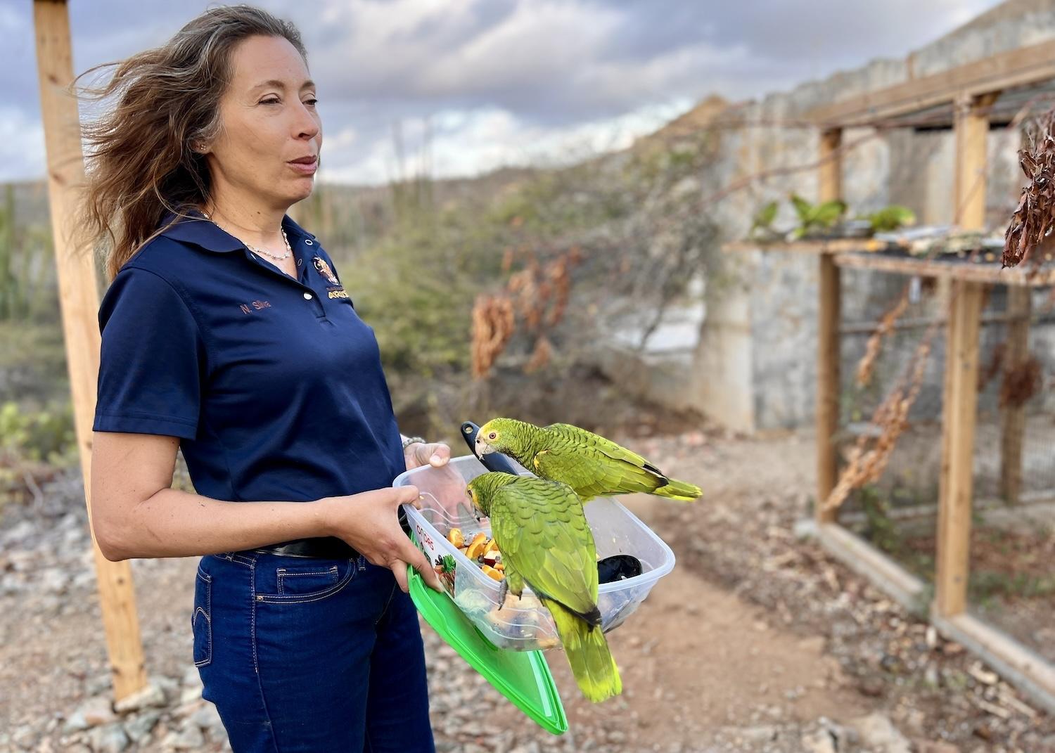 Natasha Silva, the chief conservation officer for the Aruba National Park Foundation, delights in caring for the Loras they rescued from smugglers and reintroduced to the wild.