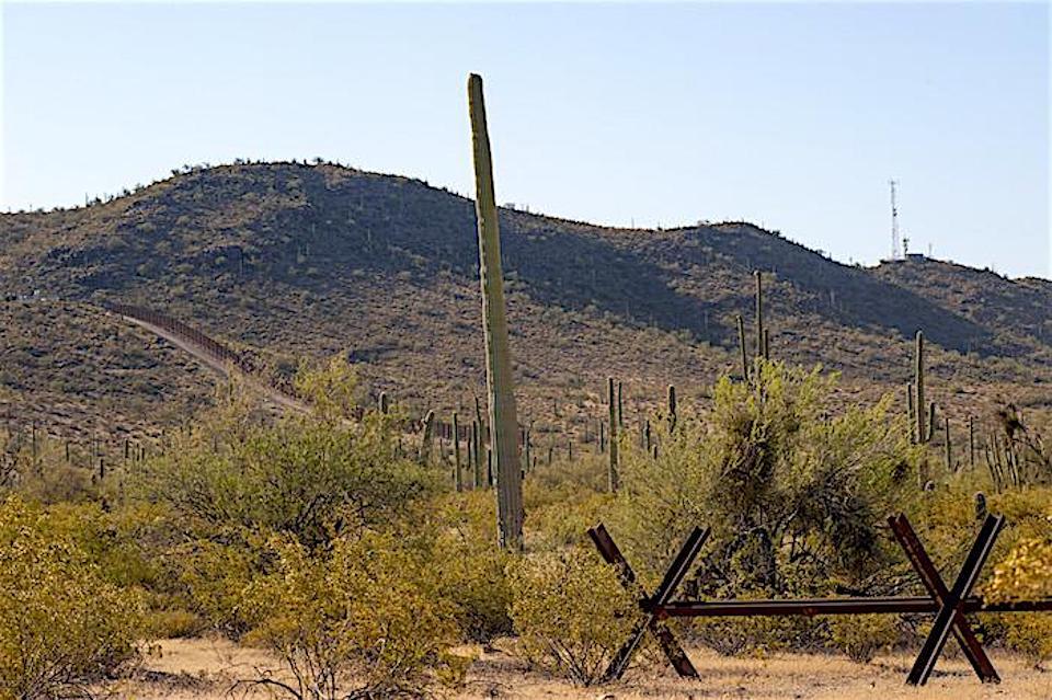 A federal judge has halted plans by the Trump administration to build a tall wall along the southern border of Organ Pipe Cactus NM/Patrick Cone